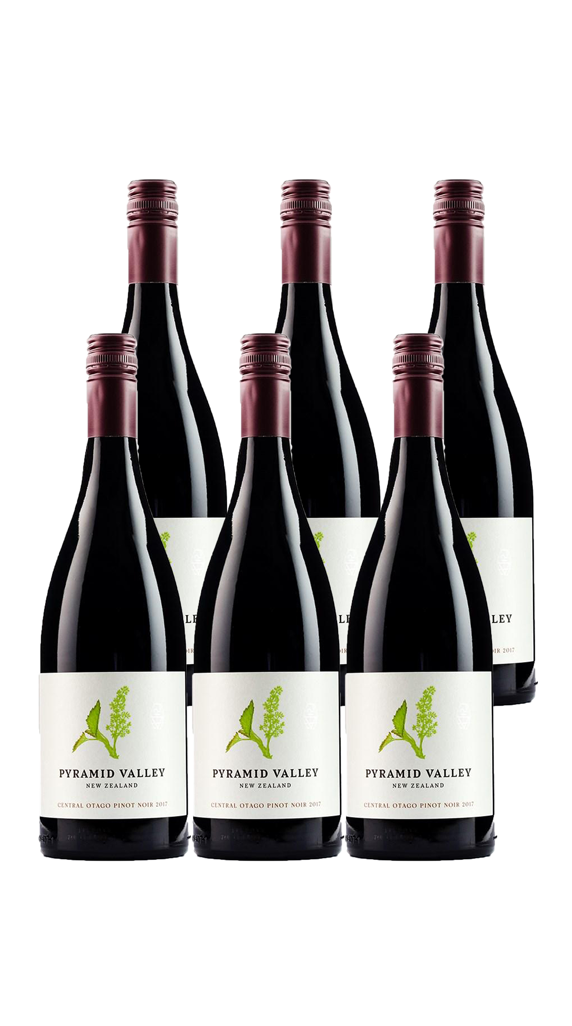 Pyramid Valley North Canterbury Pinot Noir Pack Fine Wine Delivery