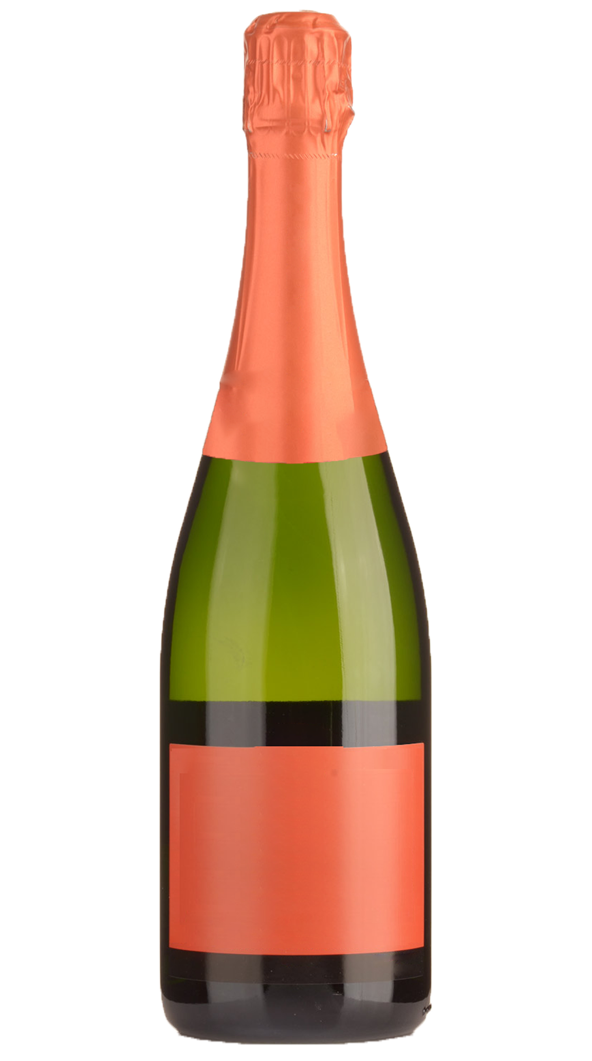 Hidden Label Single Vineyard Champagne - Fine Wine Delivery